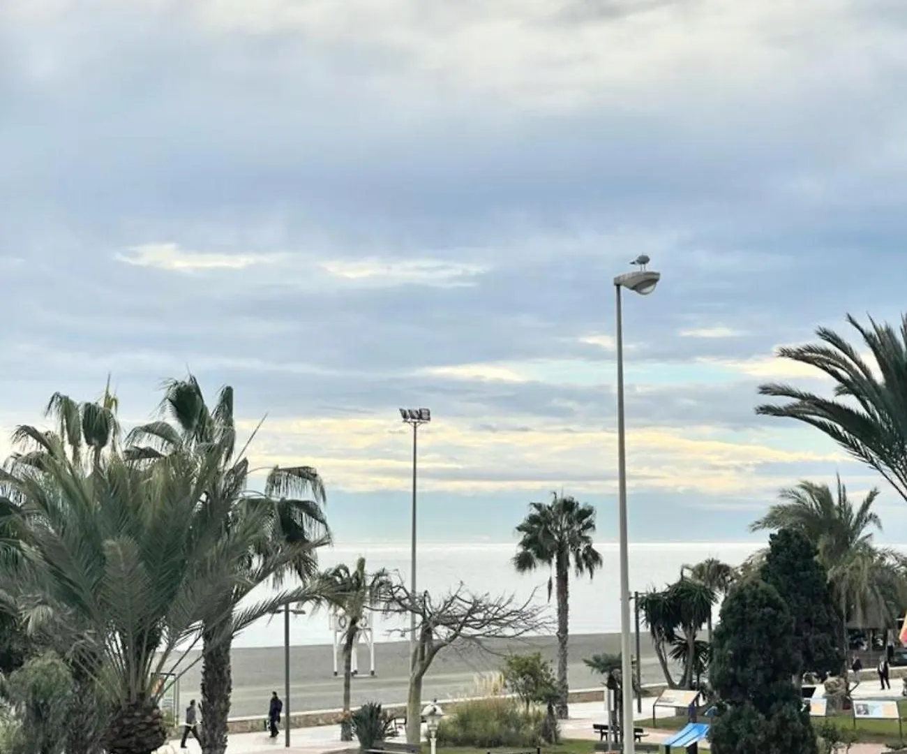 דירות טורה דל מאר Terrasol San Gerardo Frontal Al Mar 2